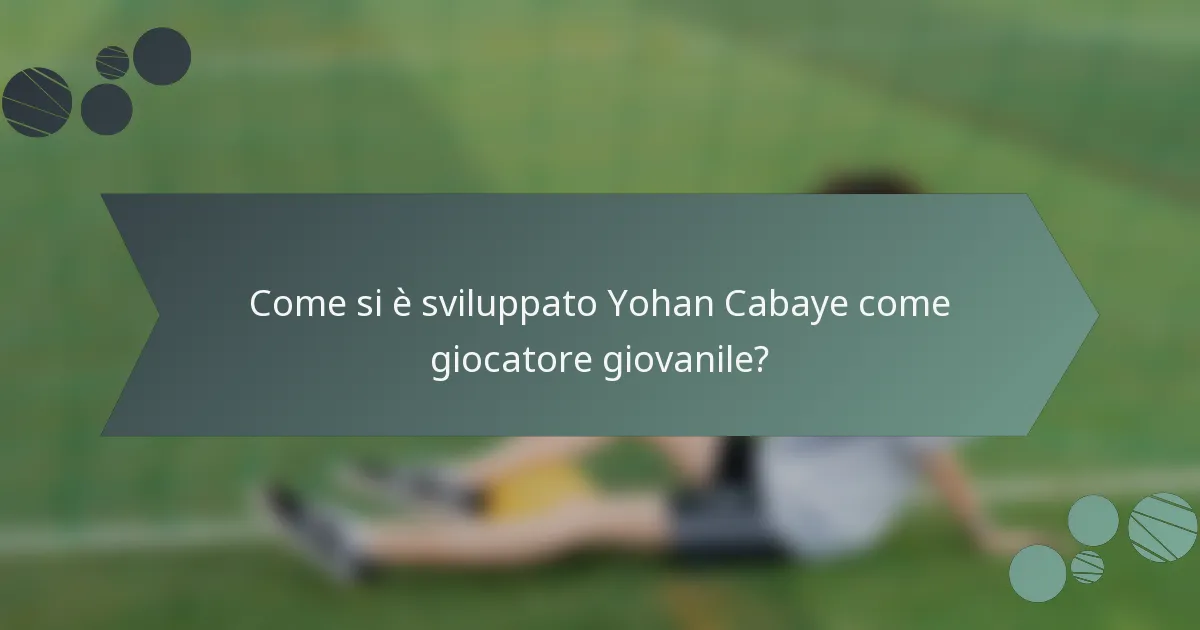 Come si è sviluppato Yohan Cabaye come giocatore giovanile?