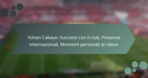 Yohan Cabaye: Successi con il club, Presenze internazionali, Momenti personali di rilievo